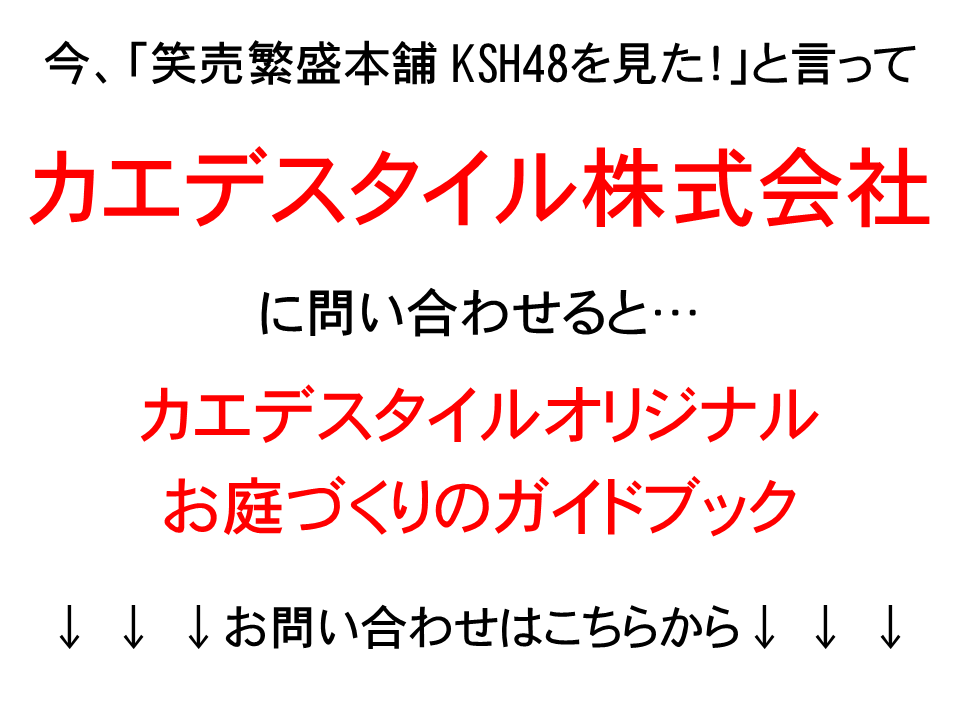 笑売繁盛本舗 Ksh48 カエデスタイル株式会社 藤田一樹 笑売繁盛本舗